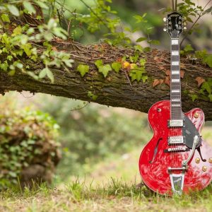 Bendings & Blues Licks